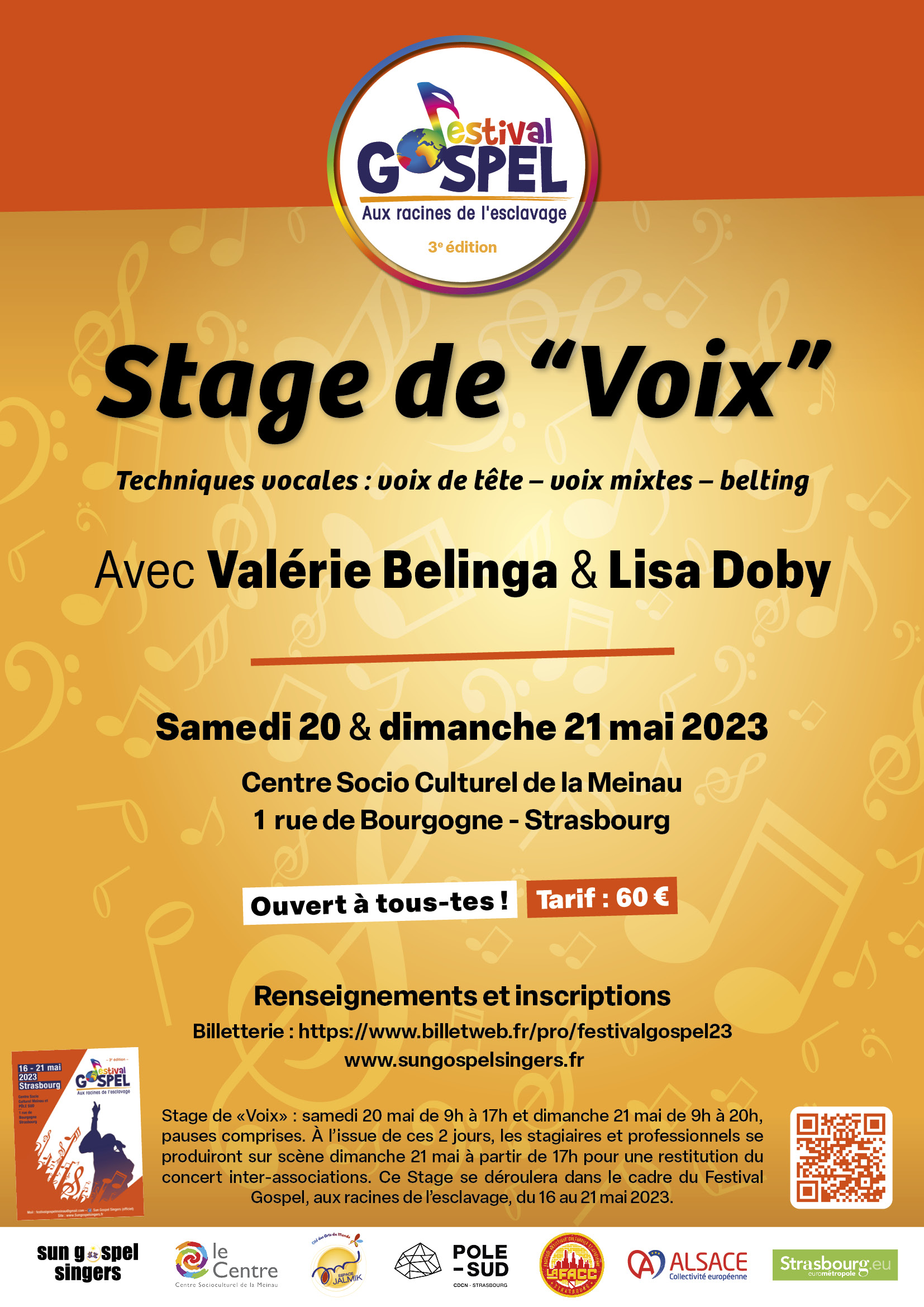 Le stage de "Voix" Techniques vocales voix de tête voix mixtes belting Strasbourg Curieux
